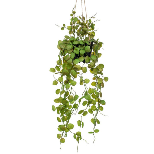 Artificial Ceropegia hanging bush 50 cm in pot