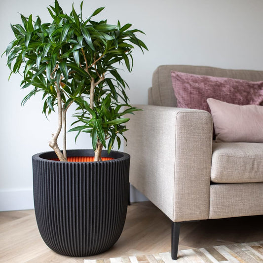 Plant box Groove 43x41 cm black