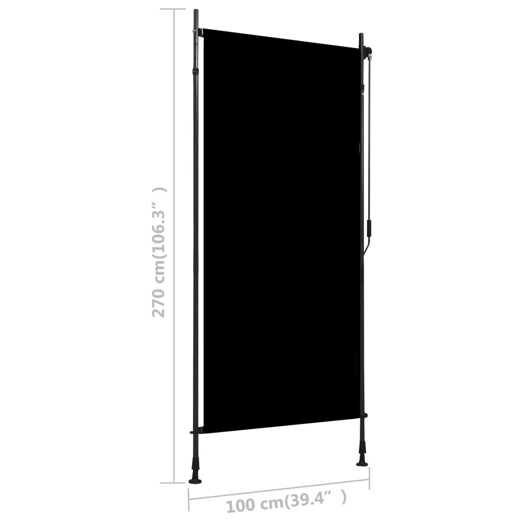 Outdoor roller blind 100x270 cm anthracite