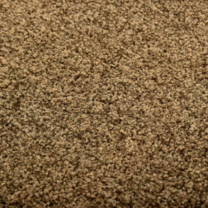 Doormat washable brown 120x180 cm