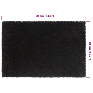 Doormats 2 pcs black 40x60 cm tufted coconut fiber