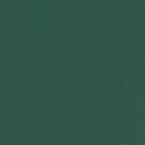 Retractable side awning 220x1000 cm dark green
