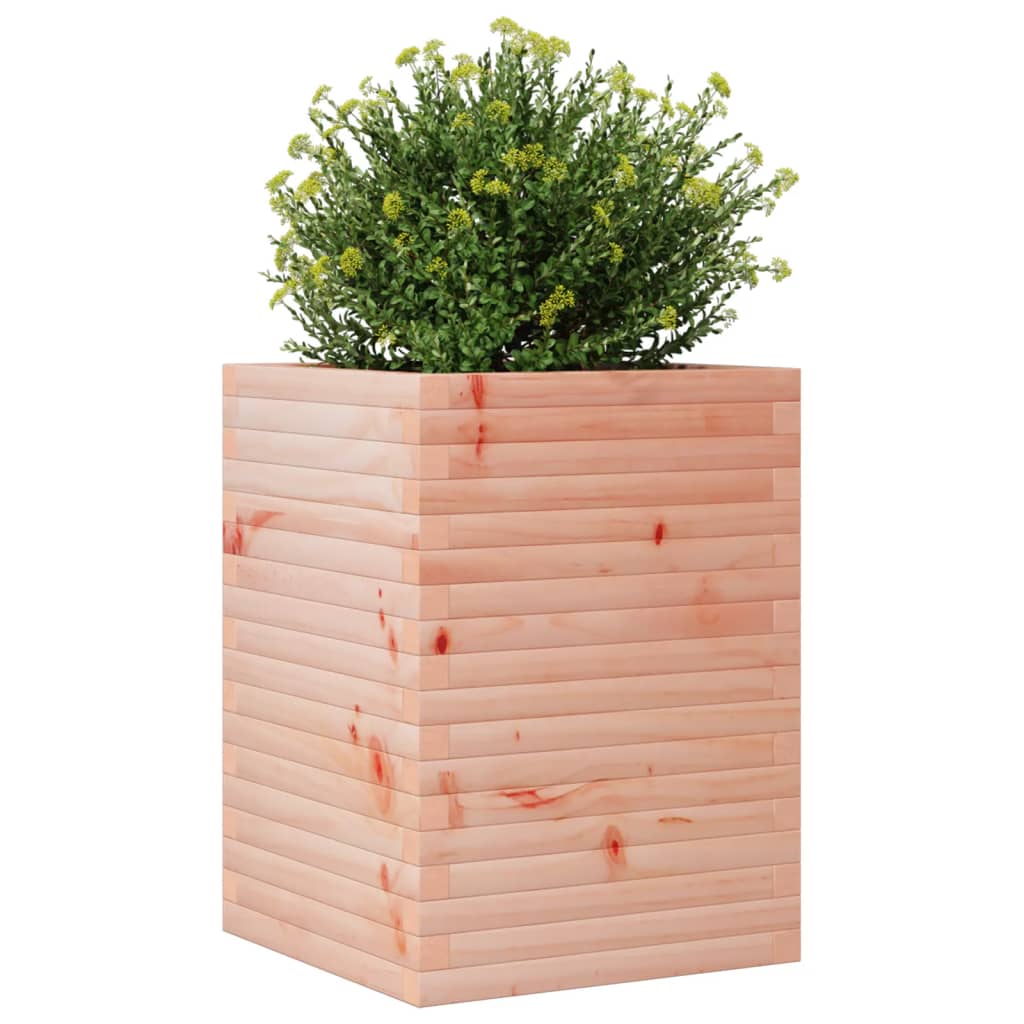 Planter box 50x50x68.5 cm solid wood Douglas fir