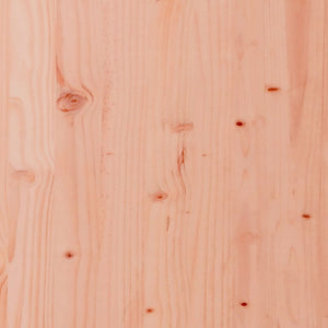 Planter 110x60x49.5 cm solid Douglas fir